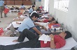 Cán bộ, công nhân, viên chức Nông trường Cao su Hàng Gòn hiến máu nhân đạo